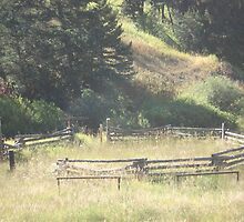Old Stock Corral by May Lattanzio