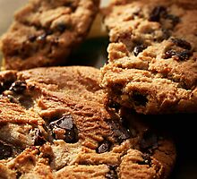 Chip Vs. Raisin by Trish Mistric