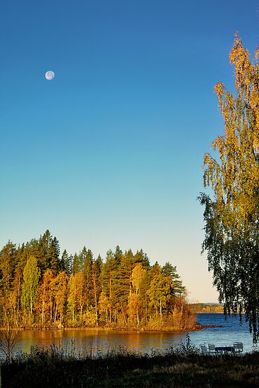 Autumn Light by MarianaEwa Autumn Light by MarianaEwa