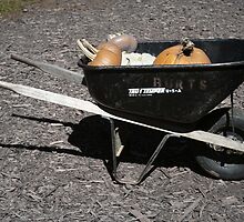 Burt's Wheelbarrow by jessiebea