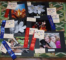 Winning photo's, ive added my photo's to my groups as i am still learning how to drive redbubble by Carol Field