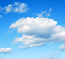 Cloudy with a Chance of Meatballs by Tina Longwell