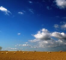 It's A Lonely World Sometimes by Nigel Finn