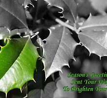 Season's Greetings To Brighten Your Day by starlitewonder