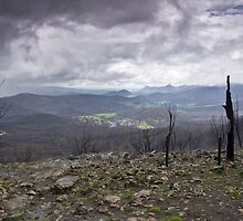 Out of the Ashes by Alistair Wilson