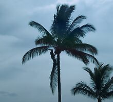 Tree Surgeon by leoaloha