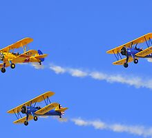 Stearman X3 by R. Mike Jacobson