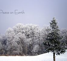 Peace on Earth by Robin Webster