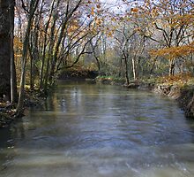 Pike River Flowage by kkphoto1