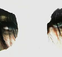 watching you by Anna Rogers