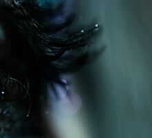 Suspicion by Laura Towersey