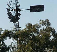 Are they bullet holes? by A1000WORDS