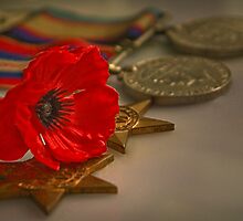 Remembrance Day by Rosalie Dale