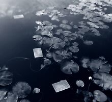 Untitled by Jeremy Russell