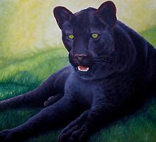 Black Leopard by Pauline Sharp
