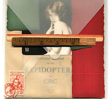 Letter from The Isle of Circ by Michael Douglas Jones