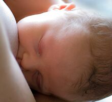 Blissfully Content by Renee Hubbard Fine Art Photography