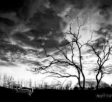 San Jacinto (Desert Sunset) by Rhonda Strickland