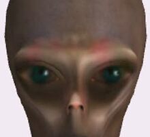 Reticulan Mask by KirneH001
