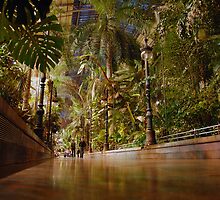 Atocha by 23gxg