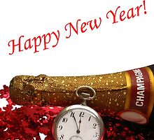 Happy new year! by portosabbia