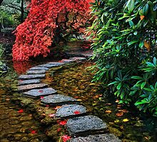 Japanese Garden by Anne McKinnell