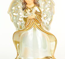 Angel with Dove by tammykayphoto