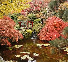 Japanese Garden in the Fall, ( please view large ) by AnnDixon