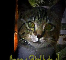 HAPPY BIRTHDAY! by Dayonda