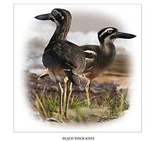 BEACH THICK-KNEE #2 by DilettantO