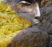 Autumn (from my exhibition) by Antanas