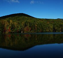 Georgia Lake in Fall by Terry Best