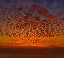 Florida Sky II by deahna