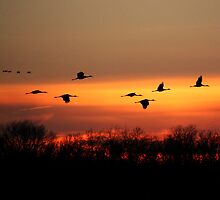 At Sundown by Victoria Jostes
