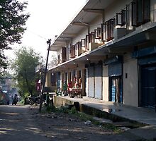 Main Road; Bir by Angie Spicer