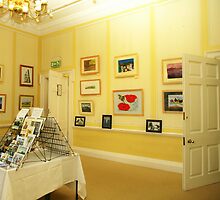 My Solo Exhibition- Assembly House, Norwich Norfolk by ANNETTE HAGGER