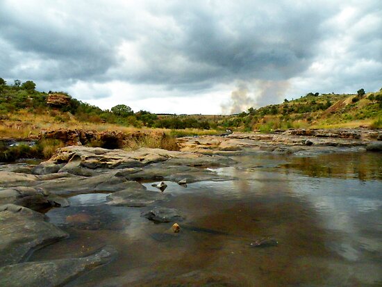 Veld In Africa