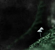 Down in the dark places by Purplecactus