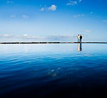 Blue by Miguel Arredondo