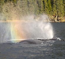 Rainblows by Gina Ruttle (Whalegeek)