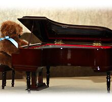 THE RECITAL by cdudak