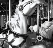 Carousel 30 by Joanne Mariol