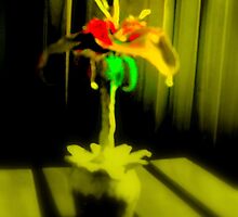 Streatam rose 3 by Neil Chapman