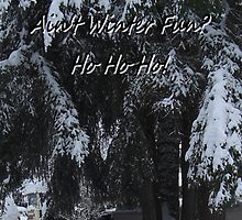 DECEMBER in the NORTHERN HEMISPHERE by Dayonda