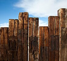 View of the Fence by Belle Farley