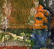 Plaster Precipice by Scott Richey