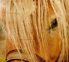 Golden Horse by Kasia Fiszer