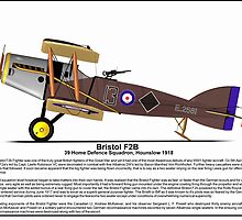 Bristol F2B World War One Fighter by coldwarwarrior