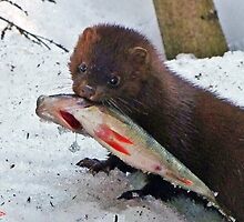 Caught In The Act by Brian Pelkey