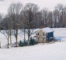 Just A Dusting On The Farmhouse by Gene Walls